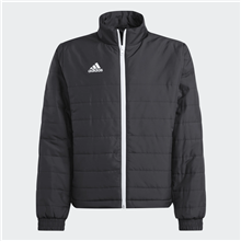 Giubbino Adidas Entrada22 IB6069