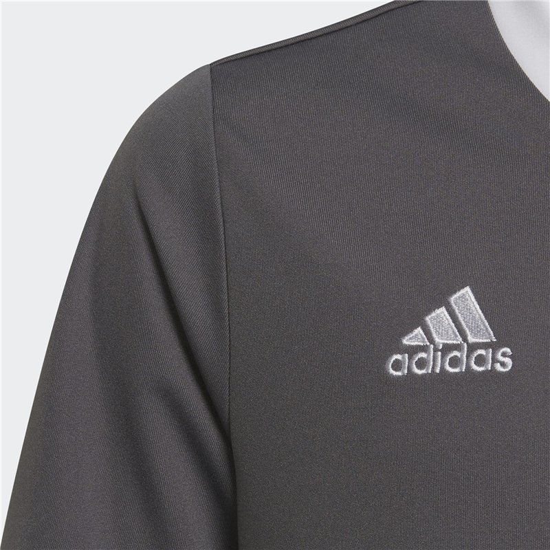 T-shirt Adidas ENT22 H57499