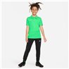 POLO Dri-FIT Academy DR1350-329