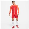 GIACCA TUTA ACADEMY PRO DH9234-657